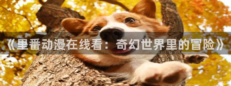 行业资讯