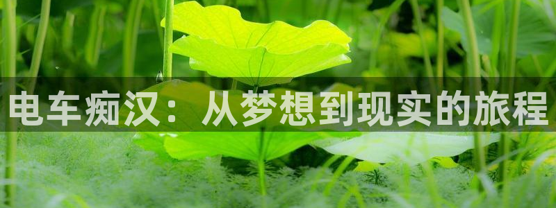 行业资讯